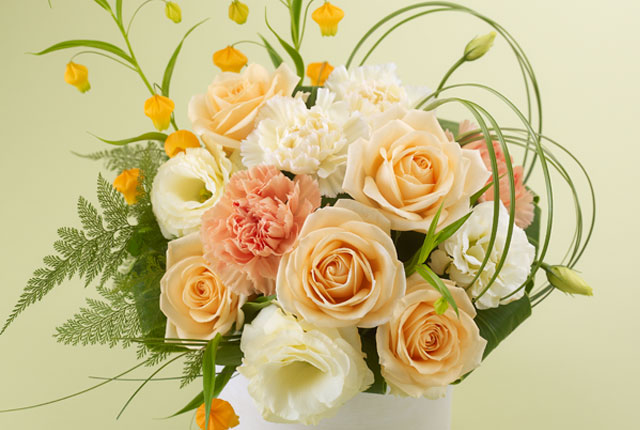 Bright Arrangement 1 Bright Arrangement