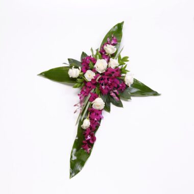 Rosa Y Aspidistra Cruz