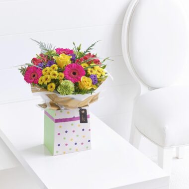 Vibrant Box Plus