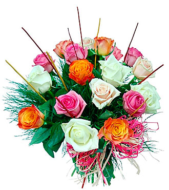 18 Colorful Roses