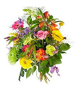 Radiant and bright exclus