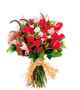 Mixed Cut Flowers Vibrant