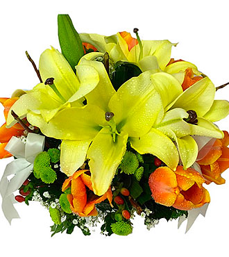 Arrangement Yellow