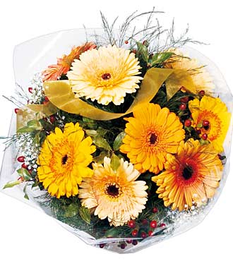 Mixed Gerbera Bunch