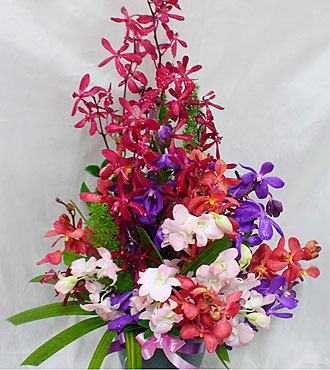 Arrangement with Orchids