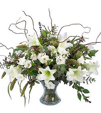 White Festive Beauty