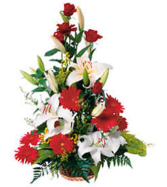 High Argmnt of Cut Flower