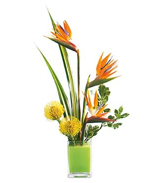 Sunset Bouquet