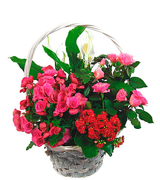 Happy Basket Composition