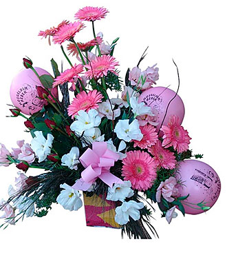 Arrangement for New Born