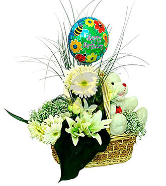 Arrangement for New Born