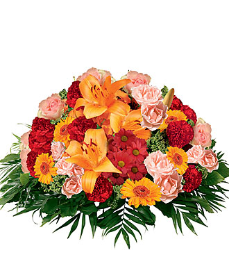 Pure Orange Rouge