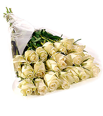 Bunch of 20 Stems White R