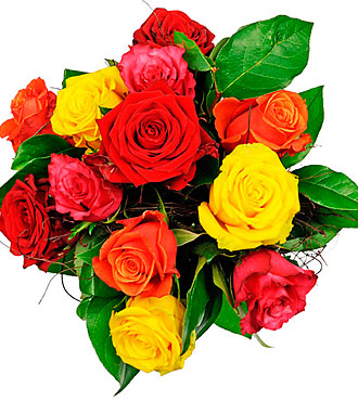 Affection - 12 Mixed Rose