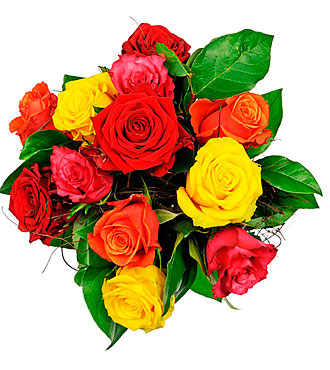 Affection - 12 Mixed Rose