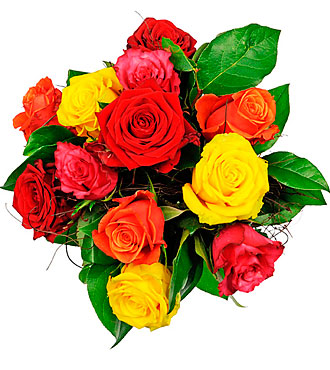 Affection - 12 Mixed Rose
