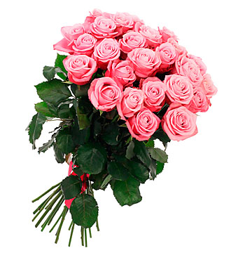 Bunch of 21 Pink Roses