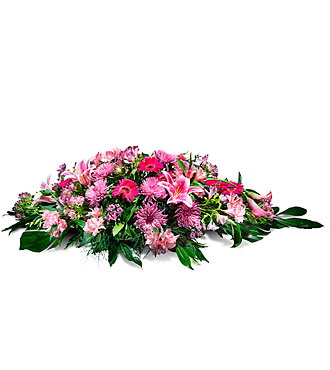 Cushion in Pink Shades