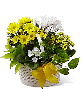 Bit of Sunshine Basket