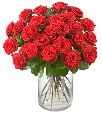 24 Red Roses