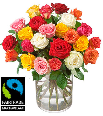 24 Red Max Havelaar Roses