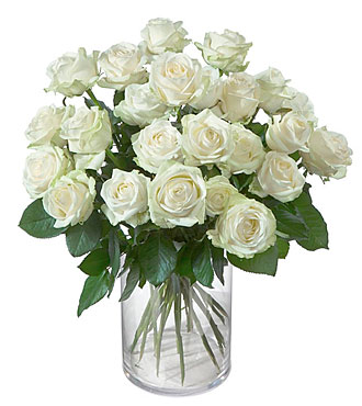 24 White Roses