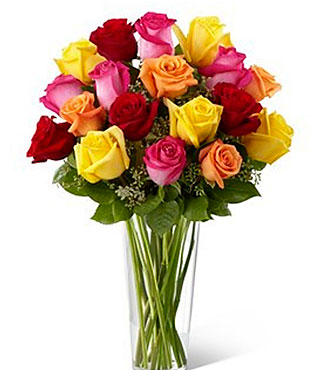 Bright Spark Rose