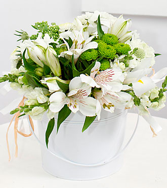 White Dream