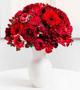 Red Harmony