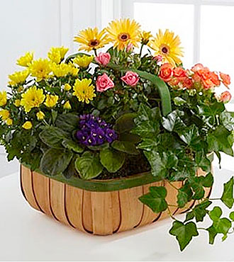 Gentle Blossoms Basket