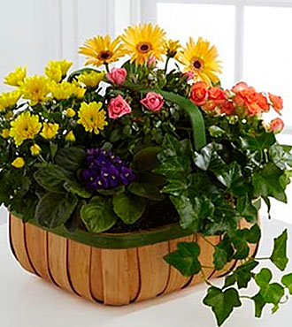 Gentle Blossoms Basket