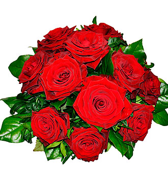 Tantalizing 12 Roses