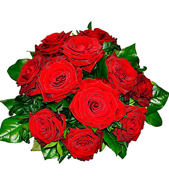 Tantalizing 12 Roses