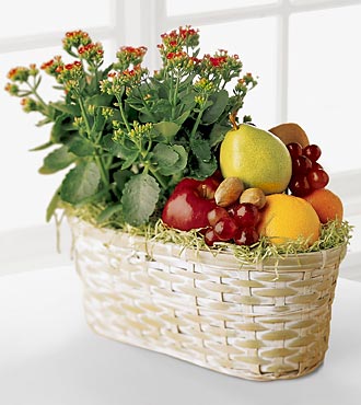 INTL- Fruits & Flowers