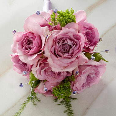 Rose Bloom