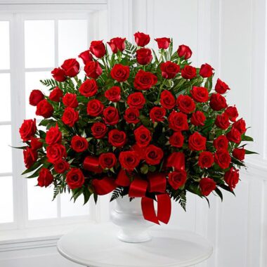 Esplendor del Alma - Premium