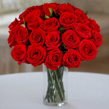 24 rosas rojas de primera calidad